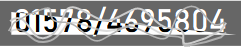 +491234567890